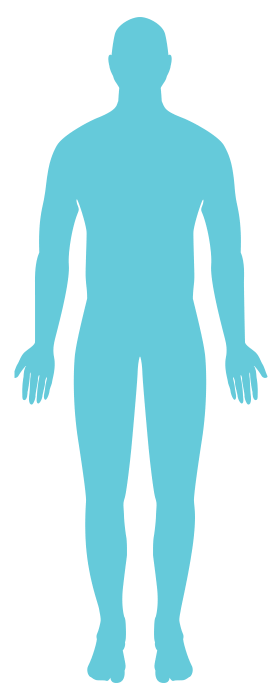 Human body icon Human body icon