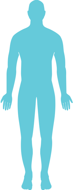 Human body Human body icon